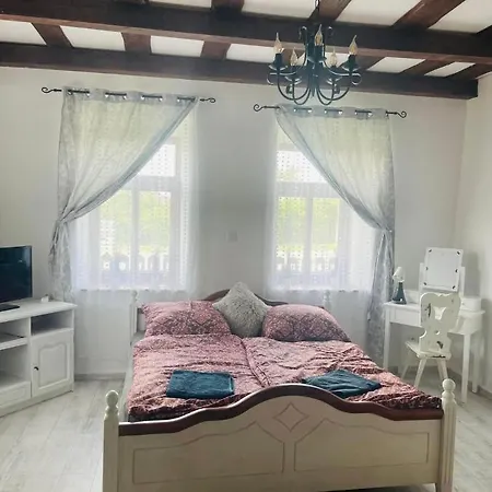 Tulipanos Vendeghaz Apartment *