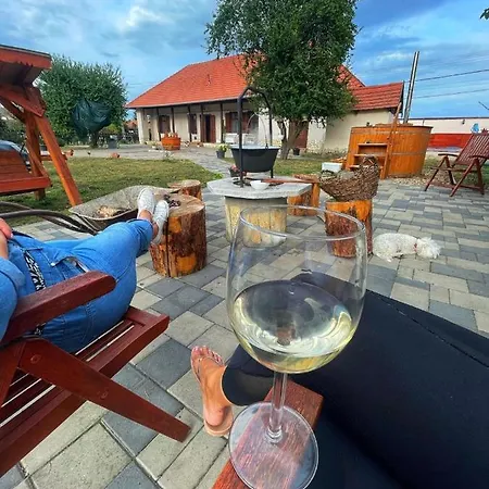 Apartment Tulipanos Vendeghaz *